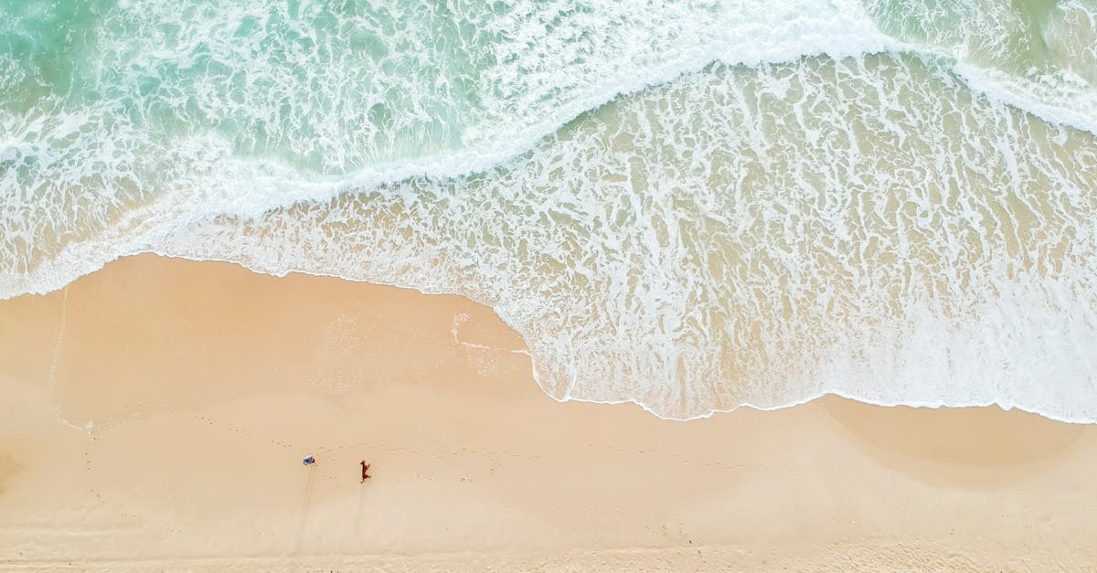 Advantages of Using Hardwood in Timber Decks