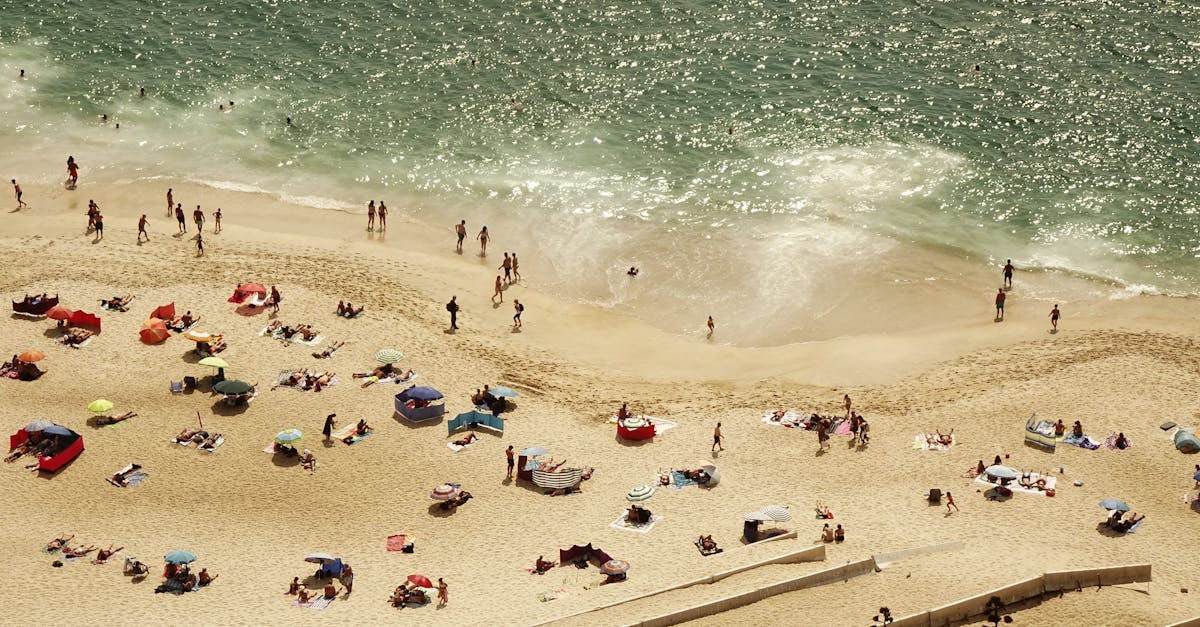 Comparing Composite Decking Brands: What to Look For