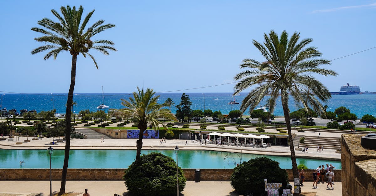 How to Prepare Your Deck for Sealing in Coastal Conditions