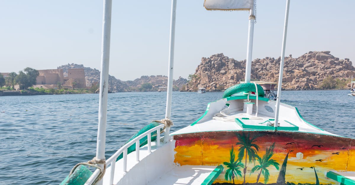 How to Remove Mould and Mildew from Deck Surfaces