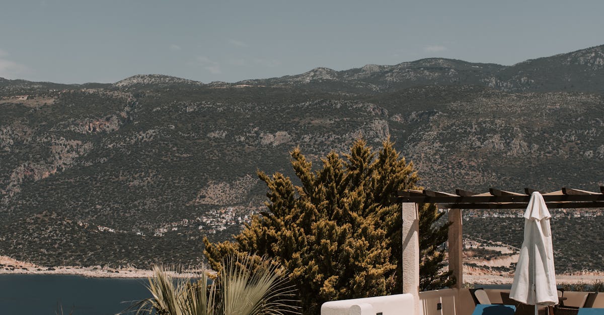 Identifying Early Signs of Deck Rot for Timely Action