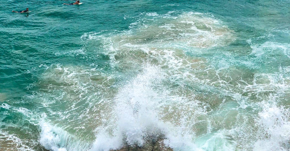 Impact of Weather on Timber Decking Performance