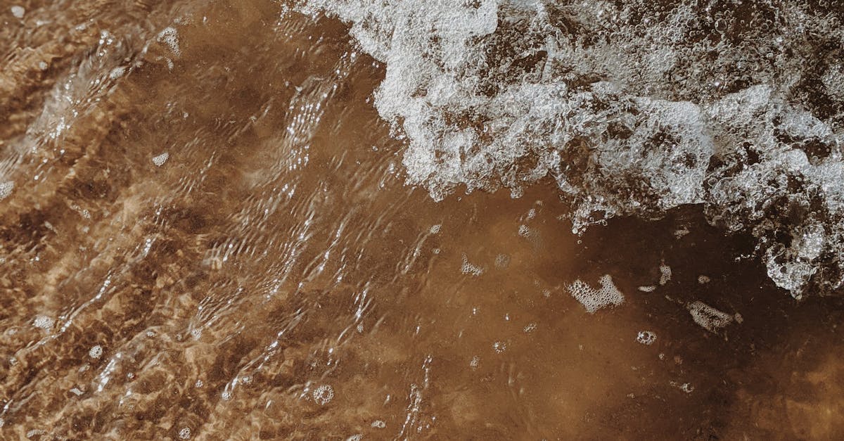 Quick Cleaning Tips for Busy Homeowners with Decks