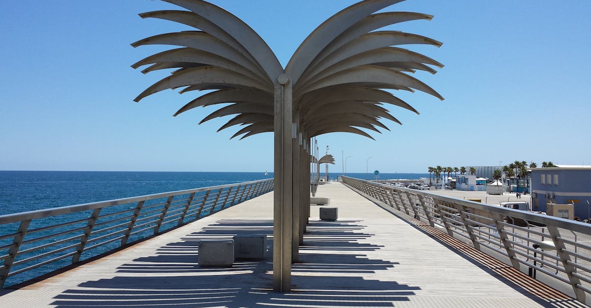 Summer Deck Upkeep: Keeping Your Outdoor Space Safe