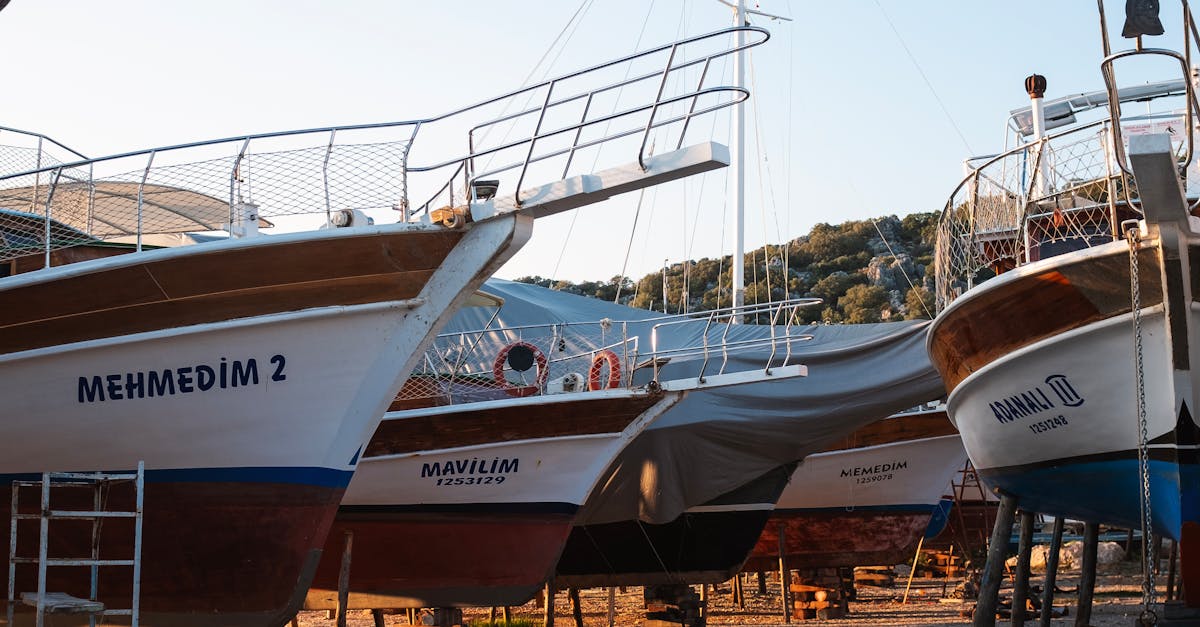 Sustainable Timber Sourcing for Eco-Friendly Decks