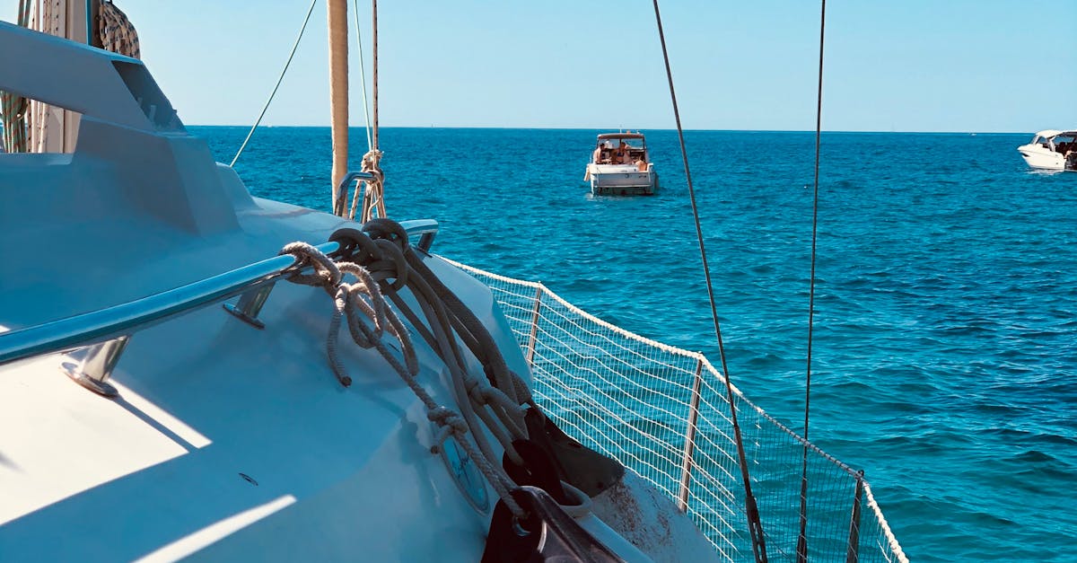The Impact of Weather on Deck Staining Techniques