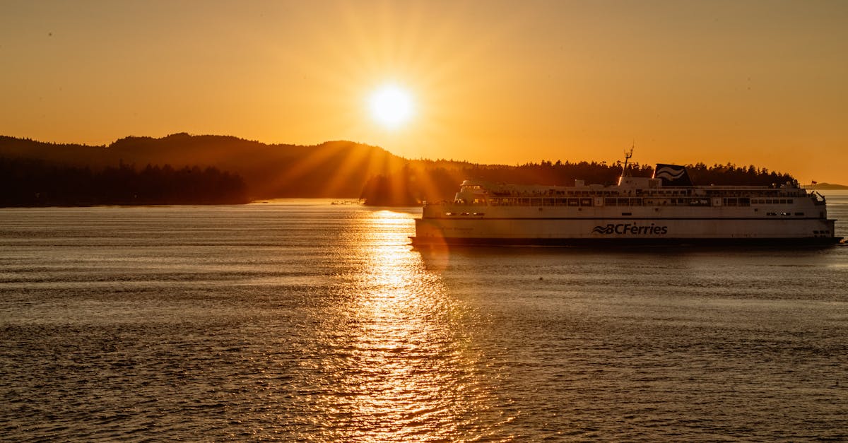 Understanding Building Regulations for Raised Decks