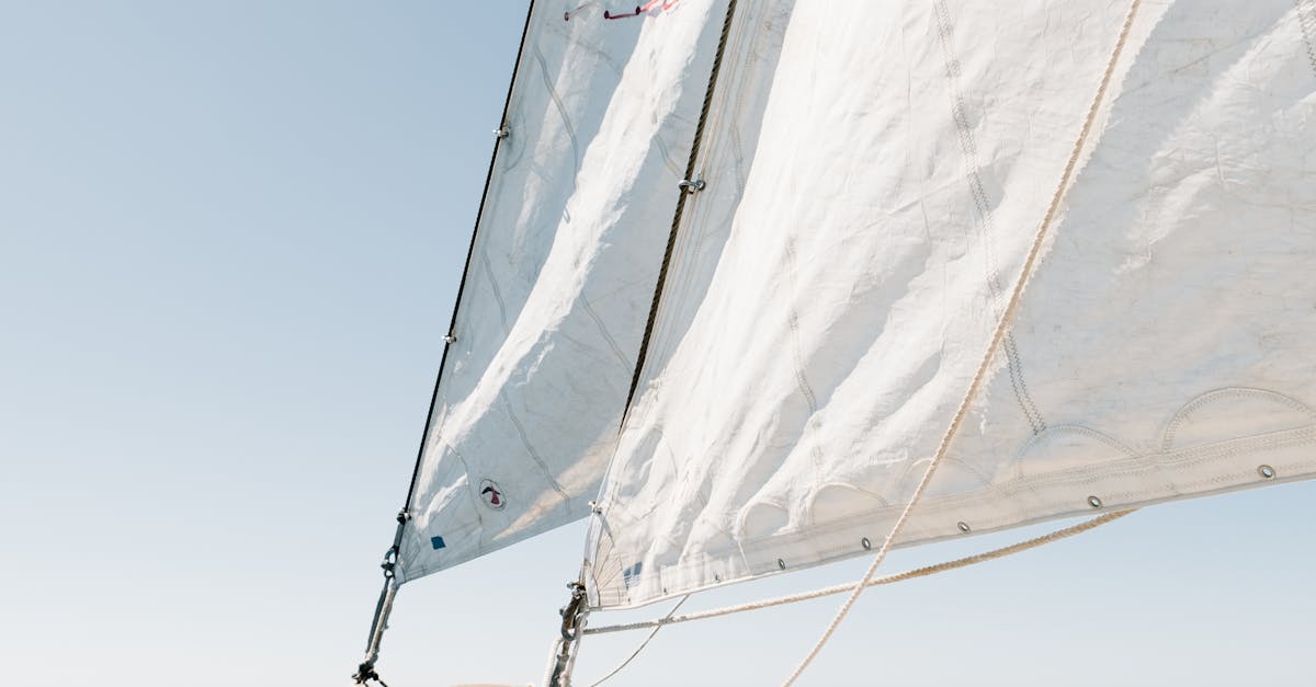 Understanding the Benefits of Clear Coatings for Decks