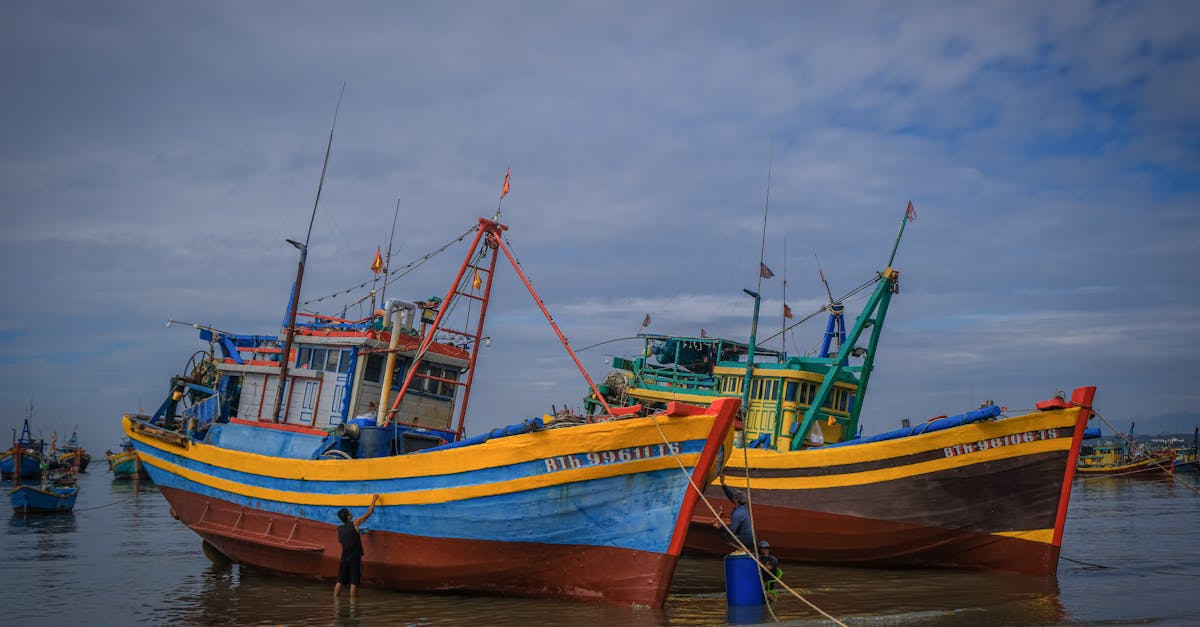 Weather Resistance: Protecting Your Timber Deck